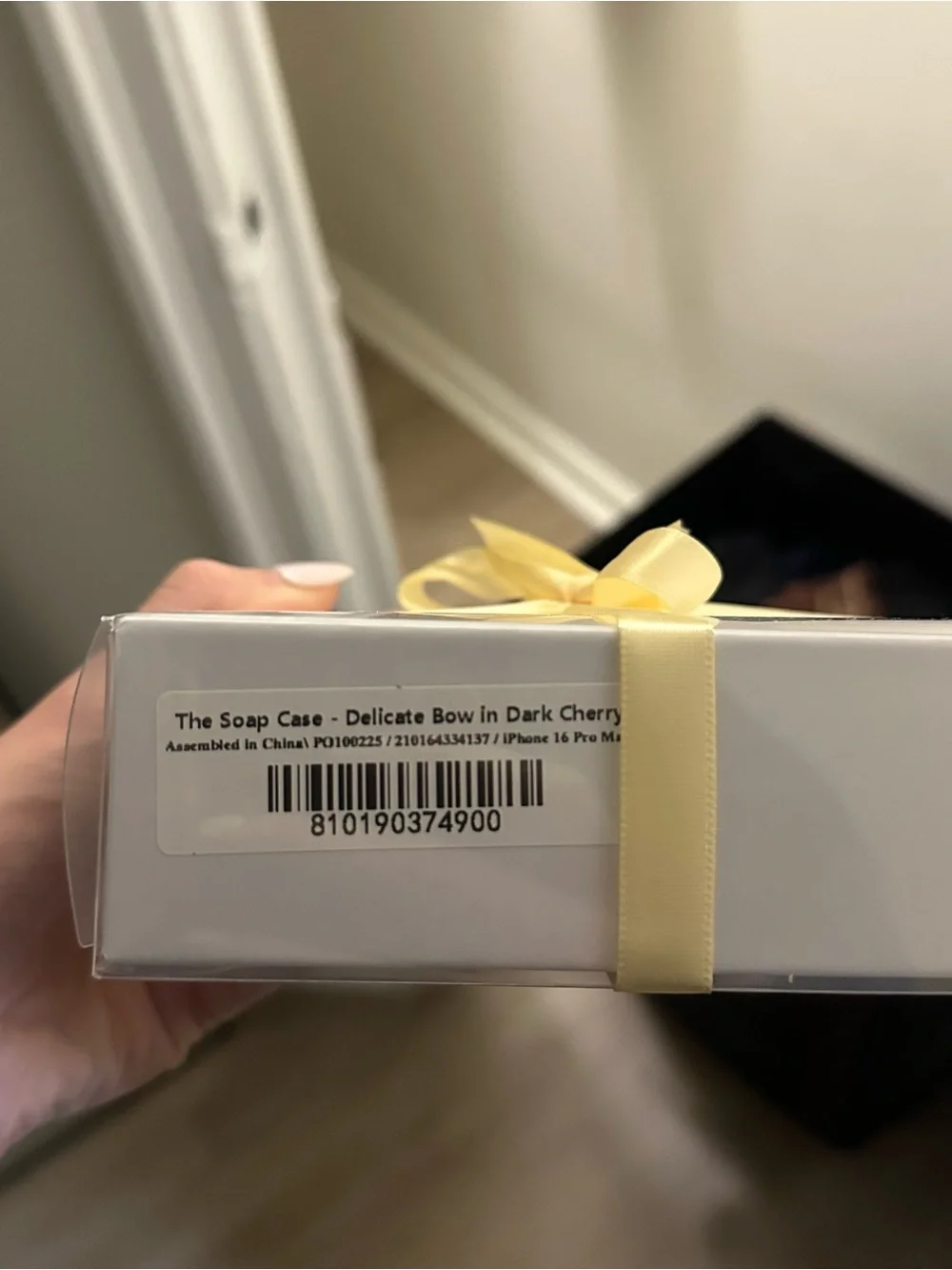 The Soap Case Delicate Bow in Dark Cherry